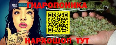 соль ск Дубна