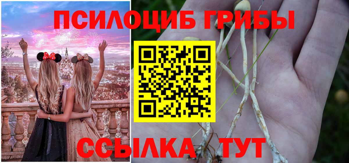 Псилоцибиновые грибы ЛСД  Вход с VPN  Люберцы  Псилоцибиновые грибы Psilocybine cubensis 