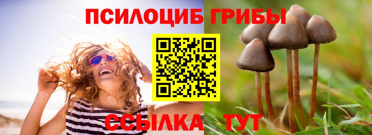 Галлюциногенные грибы прущие грибы Люберцы